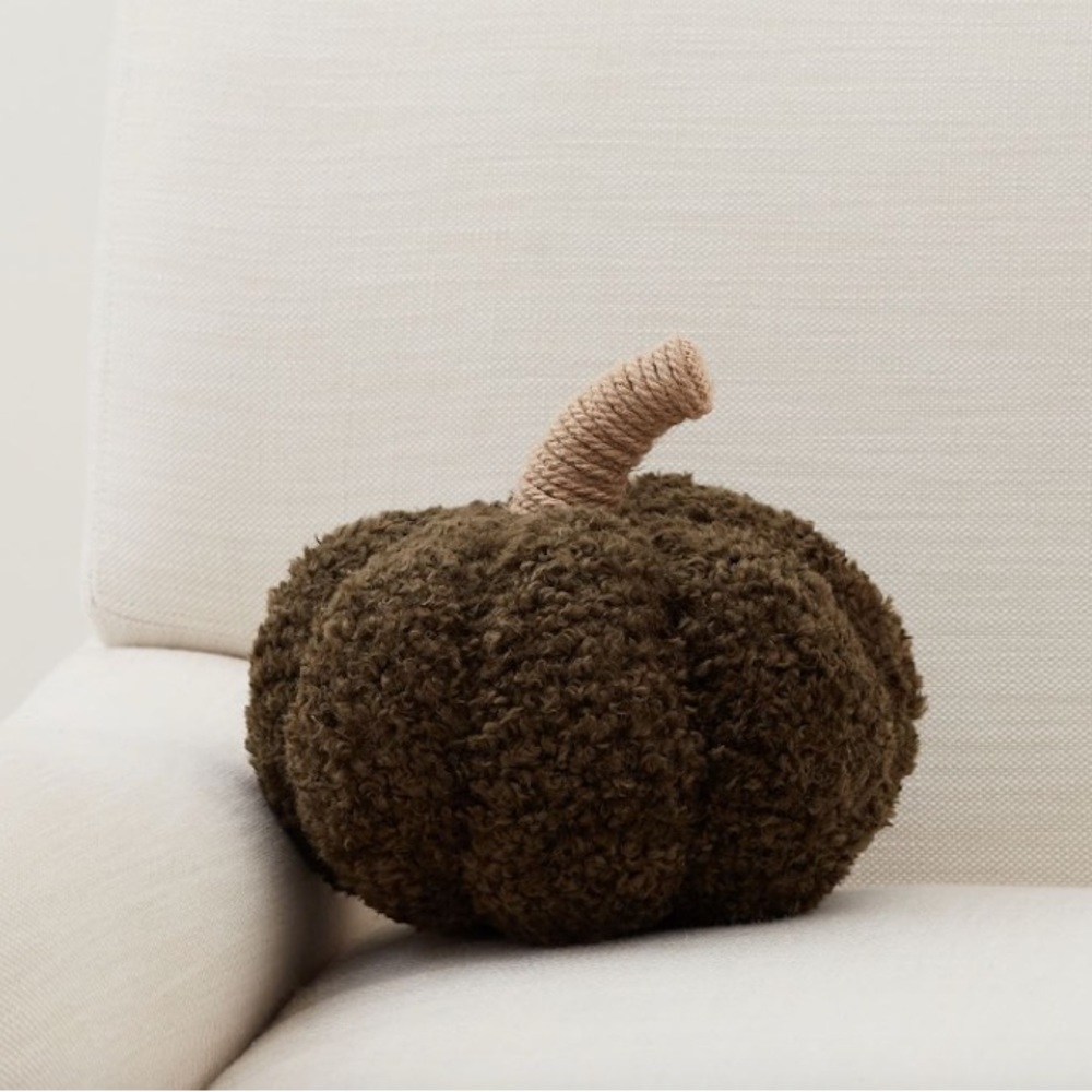 NWT Pottery Barn Cozy Pumpkin Pillow Loden 5” x 8”